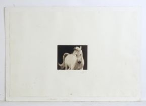 Susan George (b. 1954), Limited edition print, The White Horse. Signed and numbered 1/50 in pencil