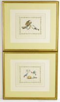 After Alexander Wilson and Charles Lucian Bonaparte, 19th century, Two ornithological prints with