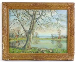 F. M. de la Coze, 20th century, Oil on canvas, An Old Acer Tree, Hampden Park. Signed lower left and