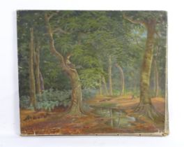 Mary Hennell, Early 20th century, Oil on canvas, Beech Wood, Beaconsfield, A woodland landscape.