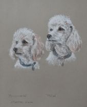 A 20thC pastel drawing depicting two Poodle dog portraits, Pomponette and Mitzi, by J. Plummer.