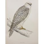 Natural History. A collection of late 19th & early 20th-century natural history reference & related