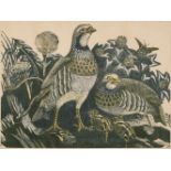 Osbourne (James Thomas Armour, 1907-1979). Family of Partridges