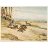 Rickman (Philip). Grey Partridges & Woodcock in the Dunes, Tryon Gallery Ltd, 1978