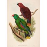 Gould (John). Five lithographs originally published in "The Birds of New Guinea...," [1875 - 88]