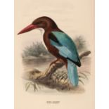 Dresser (Henry Eeles). A History of the Birds of Europe, 9 volumes, 1871-96