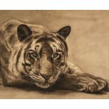 Resting Tiger, late 20th century
