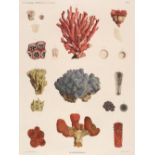 Description de L'Egypte. A collection of ten engravings of corals, starfish and minerals, circa