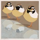 Gillmor (Robert, 1936-2022). Ringed Plover Trio