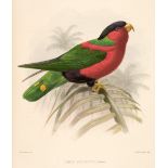 Rowley (George Dawson). Ornithological Miscellany, 3 volumes, 1876-78