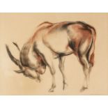 Skeaping (John Rattenbury, 1901-80) Eland, 1954