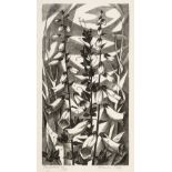 Poole (Monica, 1921-2003). Foxgloves, and Honesty