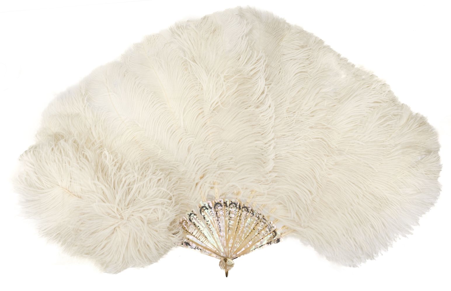 Ostrich feather. A large ostrich feather fan, early 20th century