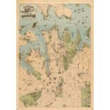 Sydney. Robinson (H. E. C.), Robinson's Aeroplane Map of Sydney, published Sydney, circa 1910