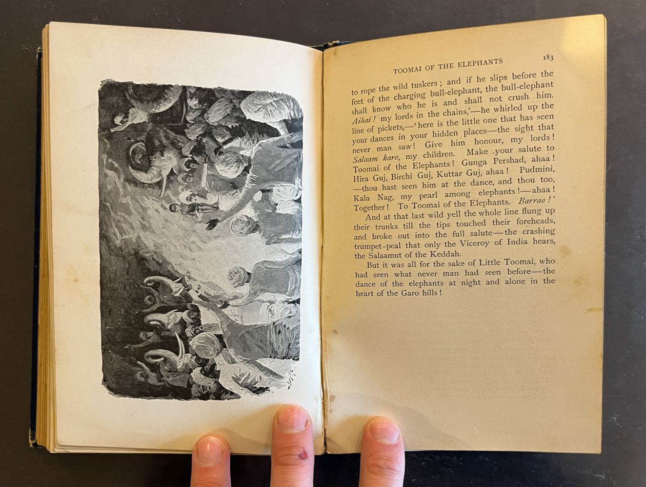 Kipling (Rudyard). The Jungle Book, 1st edition, 1894 - Image 11 of 13