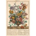 Furber (Robert). The Flower-Garden Display'd, 1732