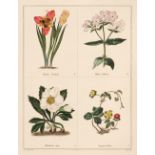 Maund (Benjamin). The Botanic Garden, vols. 1, 4 & 5, London, 1825-35