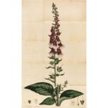 Withering (William). An Account of the Foxglove, and some of its Medical Uses... , 1785