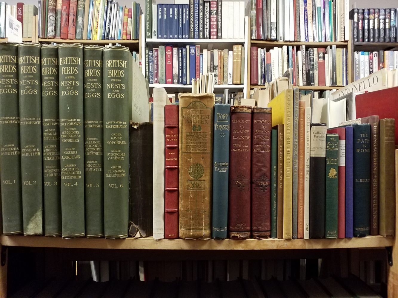 Miscellaneous Literature. A large collection of late 19th & early 20th-century literature