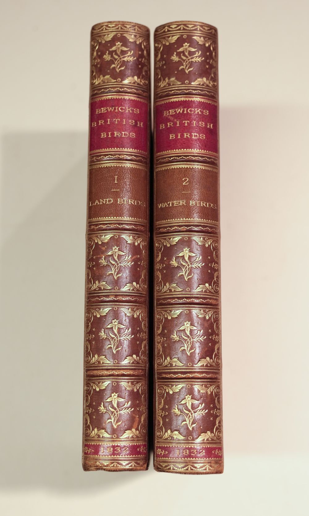 Bewick (Thomas). A History of British Birds, 2 vols., Newcastle, 1832 - Image 3 of 12