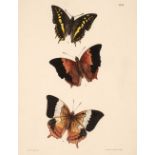 Moore (Frederic). The Lepidoptera of Ceylon, 3 volumes, 1st edition, 1880-87