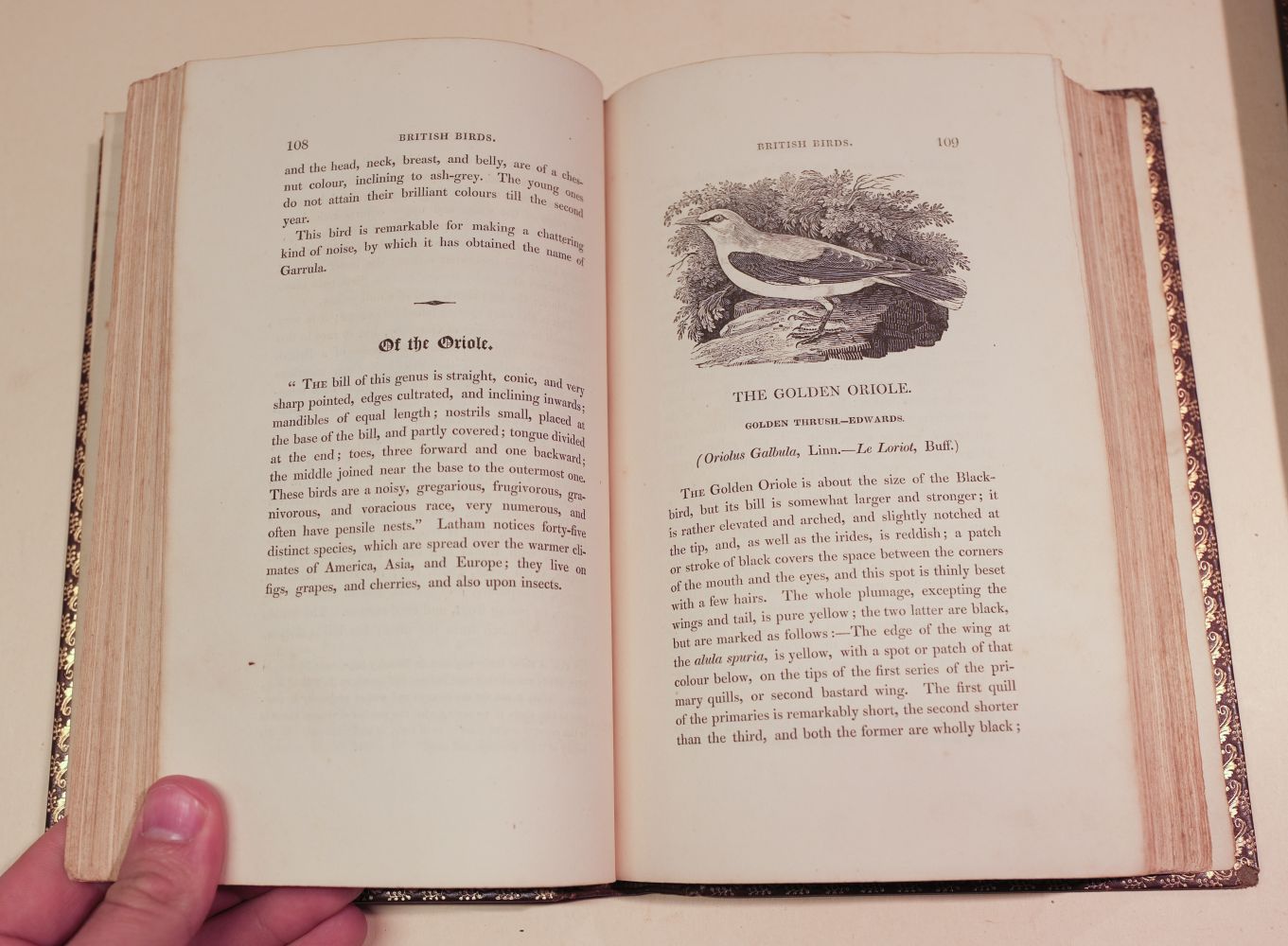 Bewick (Thomas). A History of British Birds, 2 vols., Newcastle, 1832 - Image 8 of 12