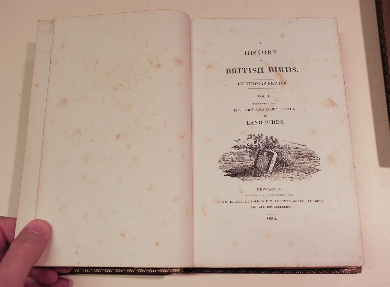 Bewick (Thomas). A History of British Birds, 2 vols., Newcastle, 1832 - Image 7 of 12