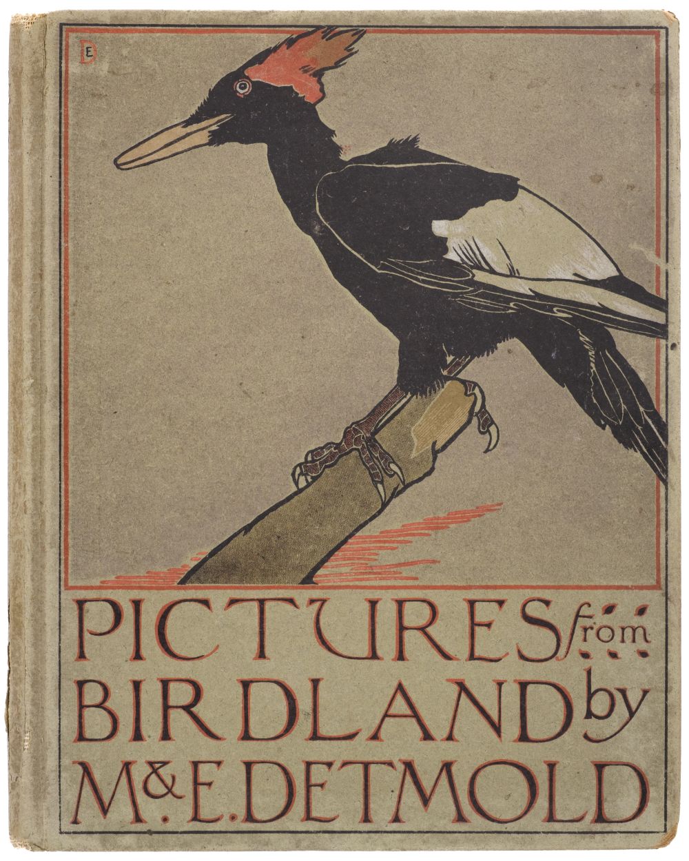 Detmold (Maurice and Edward). Pictures from Birdland, 1899 - Image 3 of 11