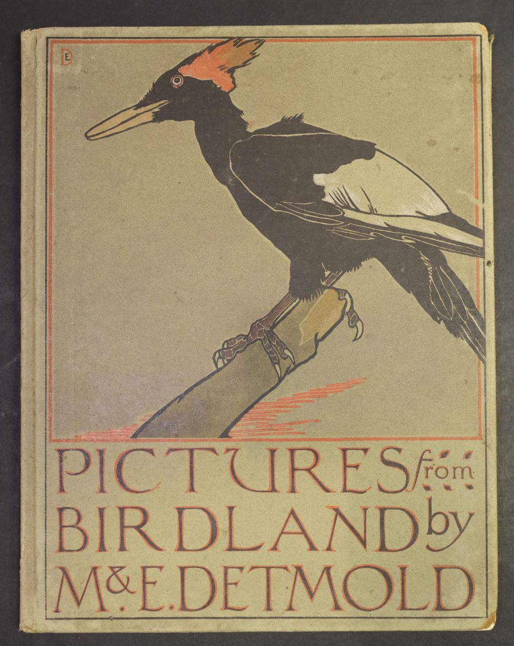Detmold (Maurice and Edward). Pictures from Birdland, 1899 - Image 4 of 11