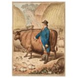 Gillray (James). Fat Cattle, H. Humphrey, Jany. 16th, 1802
