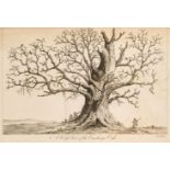 Evelyn (John). Silva: or, A Discourse of Forest-Trees, 1776