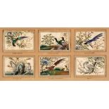 Chinese paintings. Twelve Tropical Bird paintings