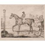 Dubost (Antoine). A View of Newmarket and the Life of the Race Horse, 1818