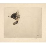 Grunewald (Guido, 1881-1935). Sleeping Kitten, etching