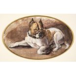 Baker (Alfred, active 1850-1874). Luke, circa 1870 watercolour of a bulldog, and one other