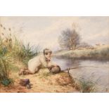 Foster (Myles Birket, 1825-1899). Boy Fishing, watercolour