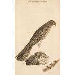 Montagu (George). Ornithological Dictionary, 3 volumes including Supplement, 1802-1813