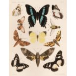 Saalmuller (Max). Lepidopteren von Madagascar, 2 parts in one, 1884-91