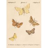 Hübner, Jacob. [Sammlung Europäischer Schmetterlinge], c. 1840s