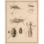 Geoffroy (Etienne Louis). Histoire abregee des Insectes, 2 volumes, 2nd ediition, 1764