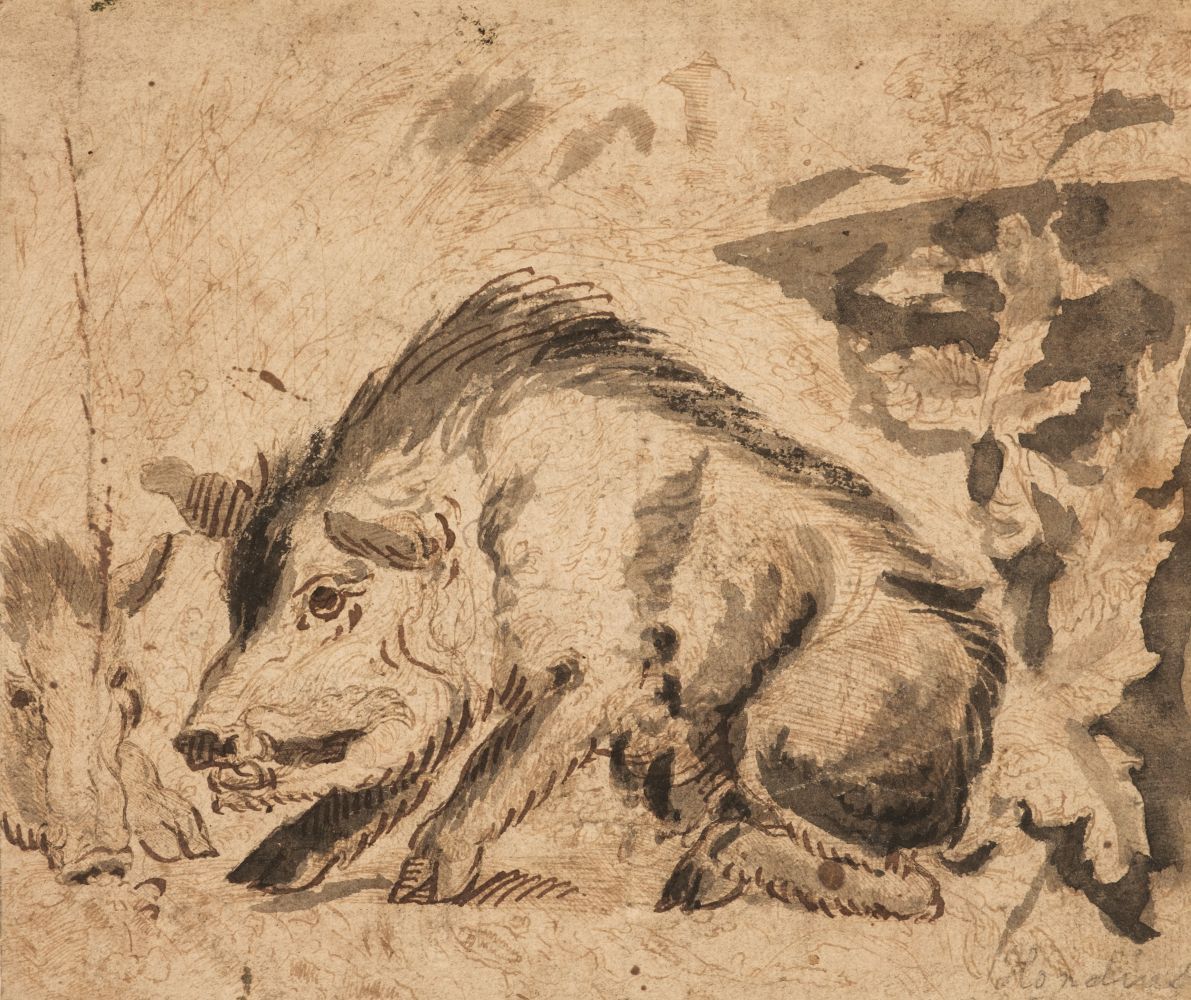 Attributed to Abraham Hondius (1625-1691). Wild Boars, circa 1672, pen and ink and wash