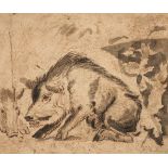 Attributed to Abraham Hondius (1625-1691). Wild Boars, circa 1672, pen and ink and wash