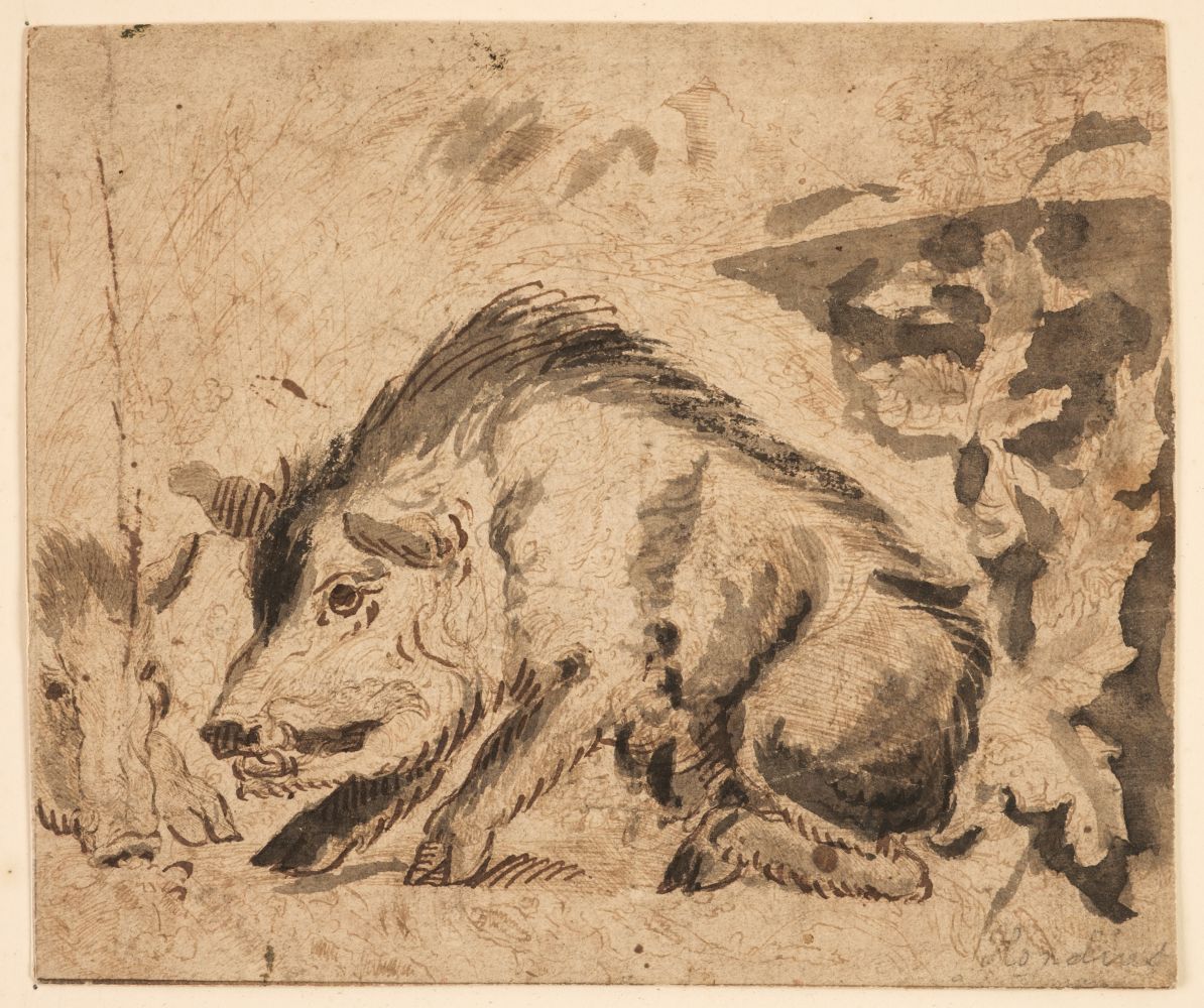 Attributed to Abraham Hondius (1625-1691). Wild Boars, circa 1672, pen and ink and wash - Image 2 of 2
