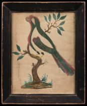 Pinprick pictures. A pair of watercolour pictures of birds, early 19th century