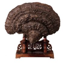 Large Petrified Fungus, Lingzhi, on stand, 18th/19th century