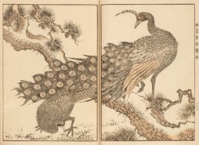 Yuho (Tanaka, active Meiji era circa 1890-1900). Woodblock Print Book, 1900