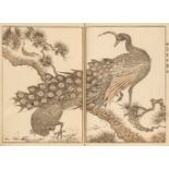 Yuho (Tanaka, active Meiji era circa 1890-1900). Woodblock Print Book, 1900