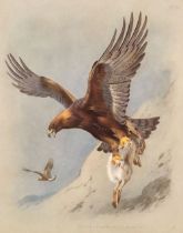 Thorburn (Archibald). British Birds, 4 volumes, Large Paper copy, 1915-18, with supplement