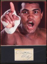 Ali (Muhammad, 1942-2016). A vintage blue ink signature, 'Cassius Clay', no date