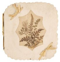 Jamaican fern doily album. An album of 6 fern doilies, Jamaica, late 19th century